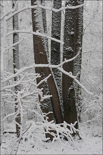 . 
---------
 (  ,      )