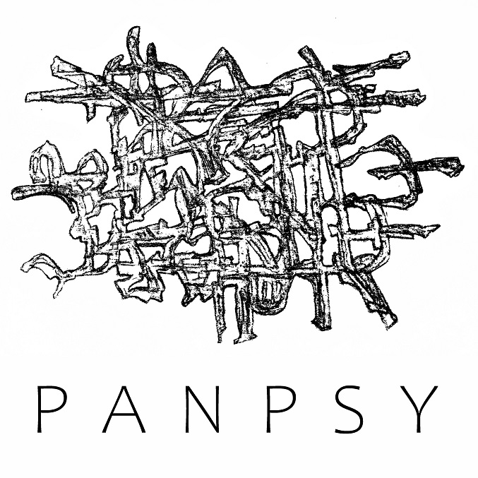 Panpsychorealismus-201102 (PANPSY)
---------
 (  ,      )