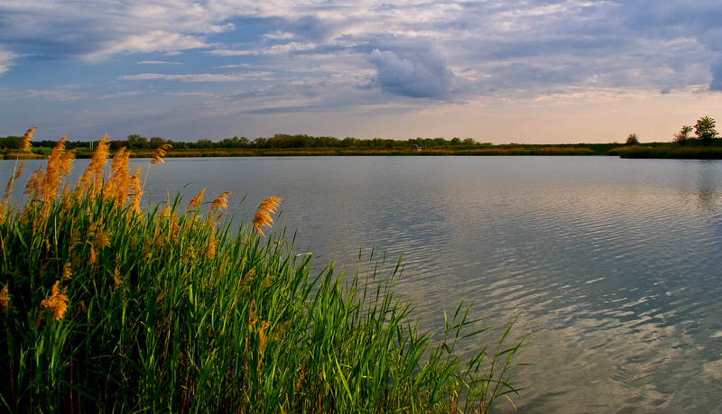 
---------
 (  ,      )