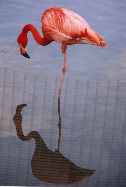 
---------
 (  ,      )