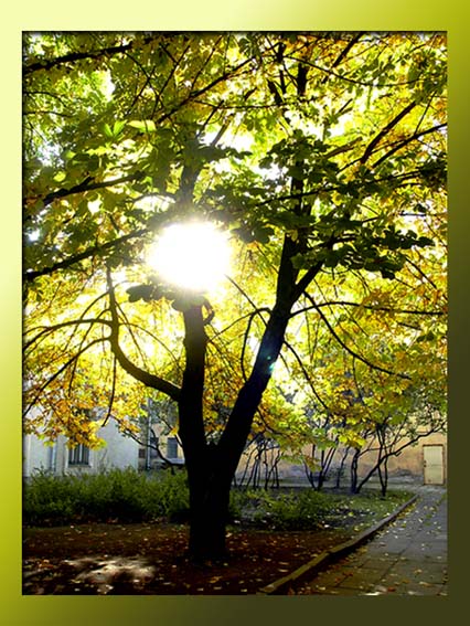  
---------
 (  ,      )