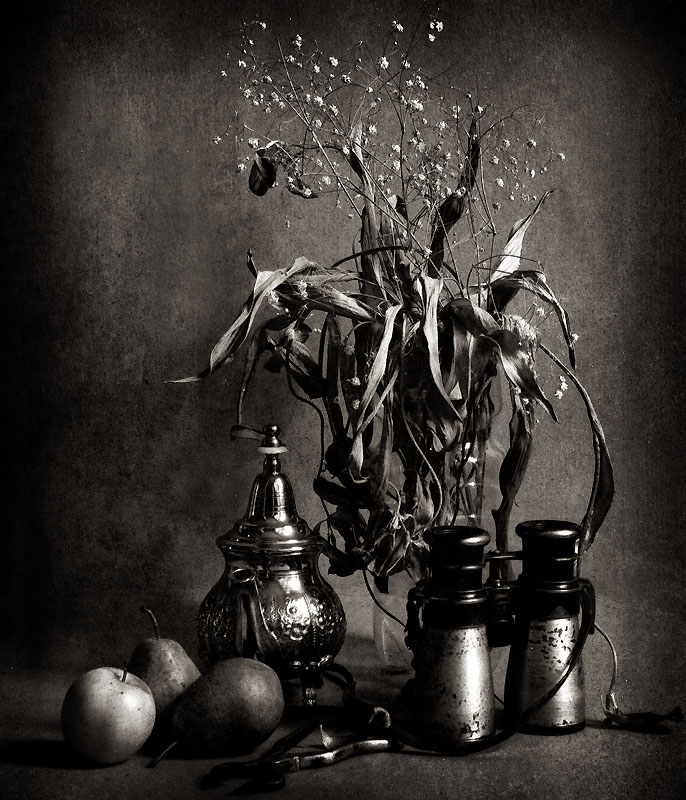 still-life  23\9
---------
 (  ,      )