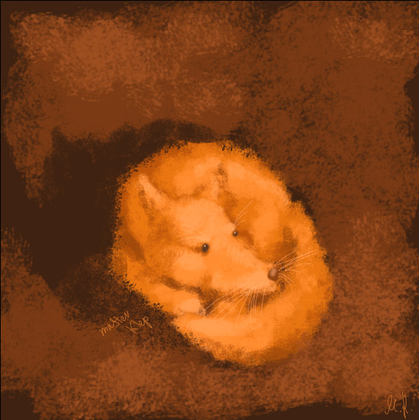Firefox
---------
 (  ,      )