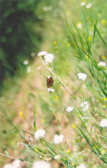   
---------
 (  ,      )