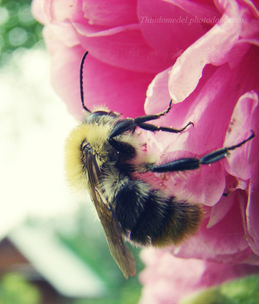 
---------
 (  ,      )