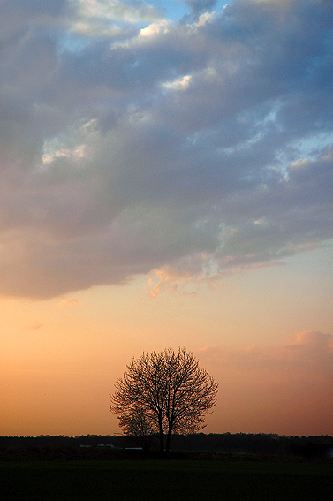  
---------
 (  ,      )