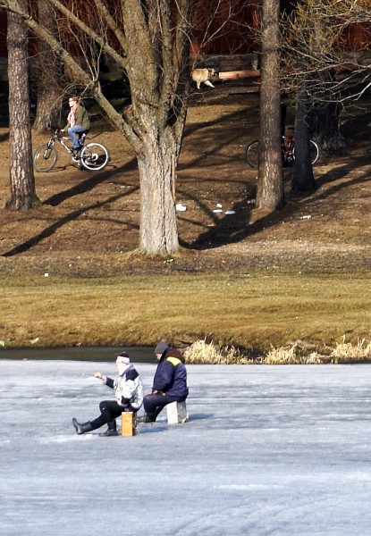   
---------
 (  ,      )