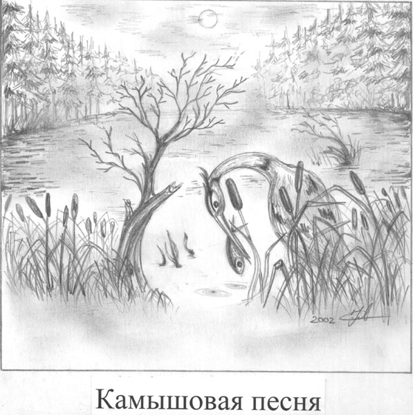 [��� ��������]
---------
 (�������� �� �����������, ����� ������� ��� � ������ �����)