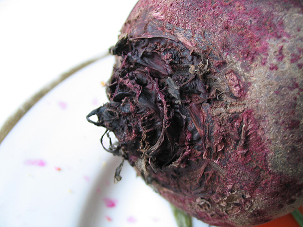 ������
---------
 (�������� �� �����������, ����� ������� ��� � ������ �����)