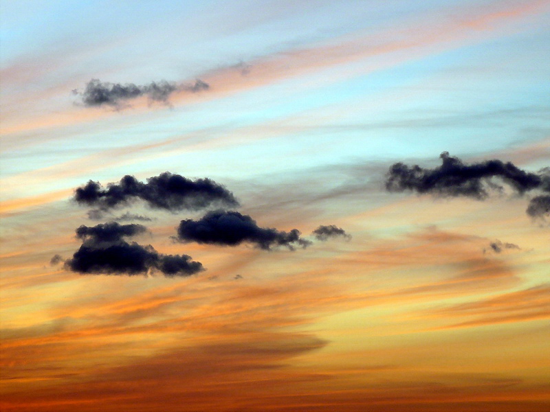 ���������
---------
 (�������� �� �����������, ����� ������� ��� � ������ �����)