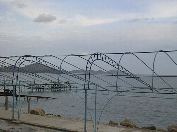  
---------
 (  ,      )