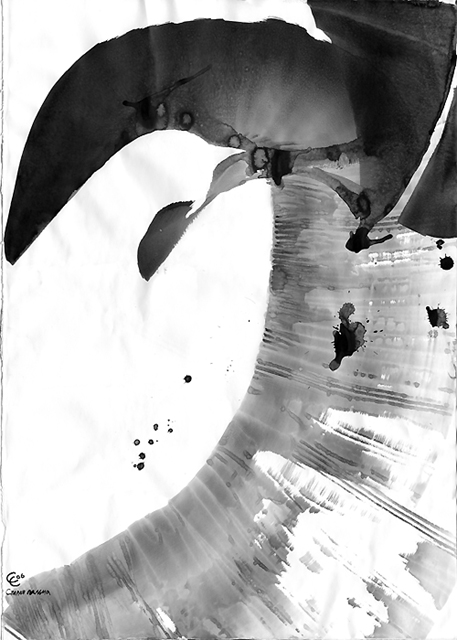   /  Ż/
---------
 (  ,      )