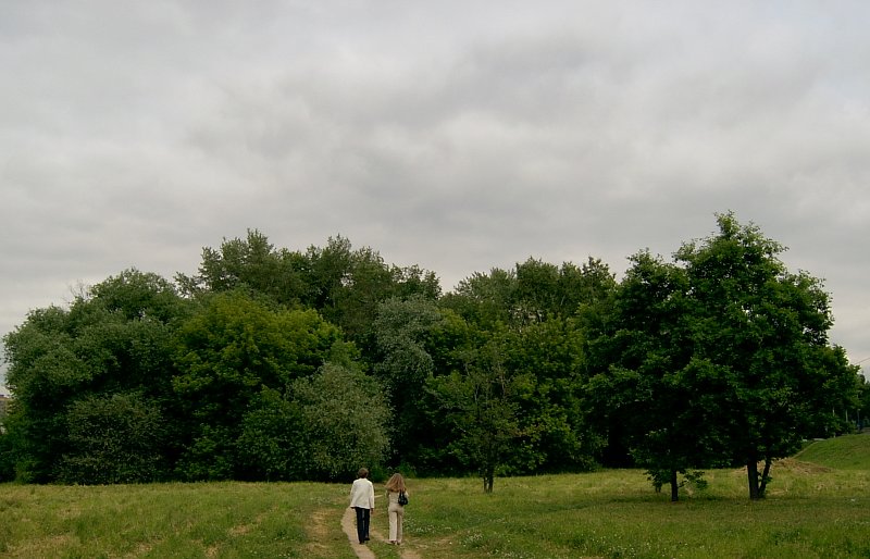 Ждущий
---------
 (кликните по изображению, чтобы открыть его в полный экран)