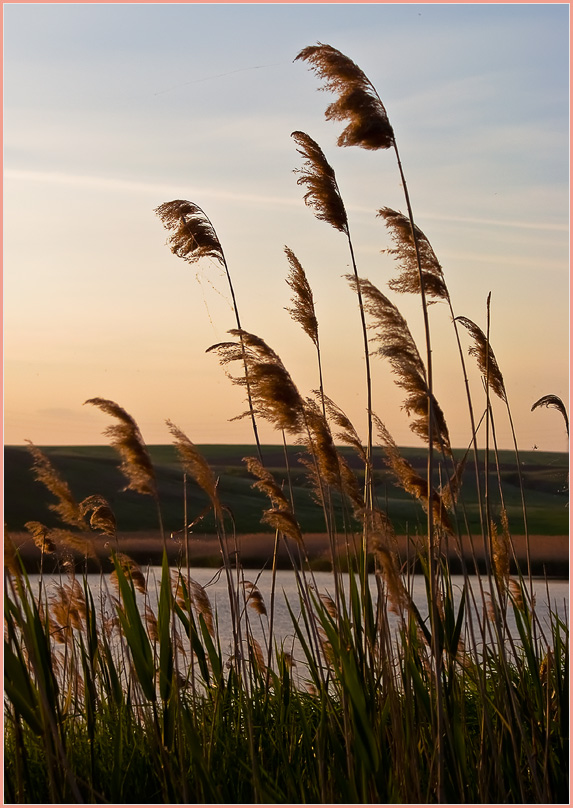   
---------
 (  ,      )