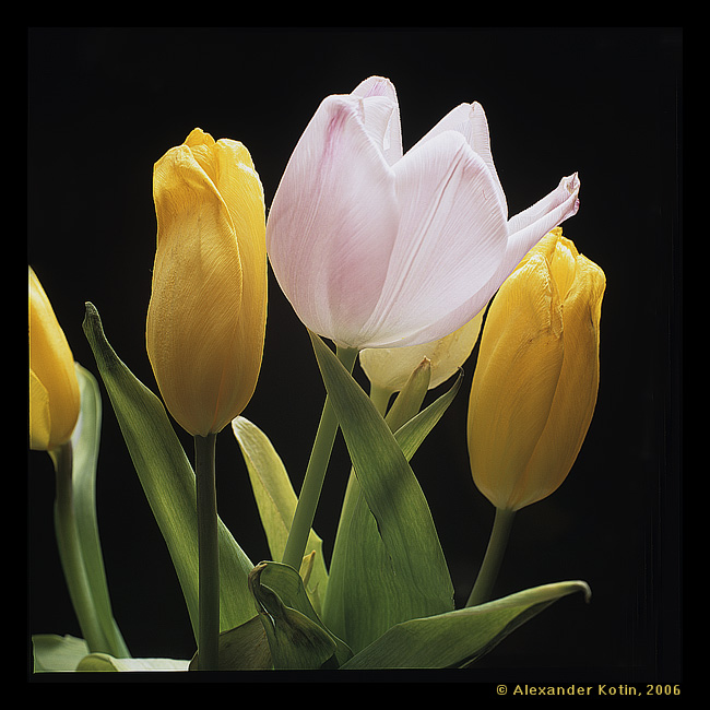    !
---------
 (  ,      )