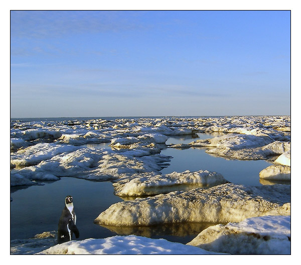 �������
---------
 (�������� �� �����������, ����� ������� ��� � ������ �����)