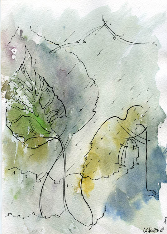   
---------
 (  ,      )