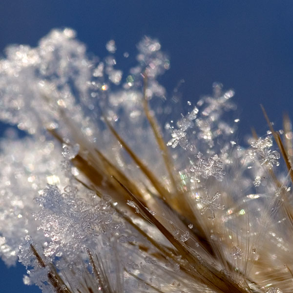 ���� � ������
---------
 (�������� �� �����������, ����� ������� ��� � ������ �����)