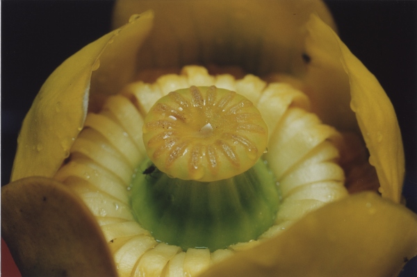 
---------
 (  ,      )