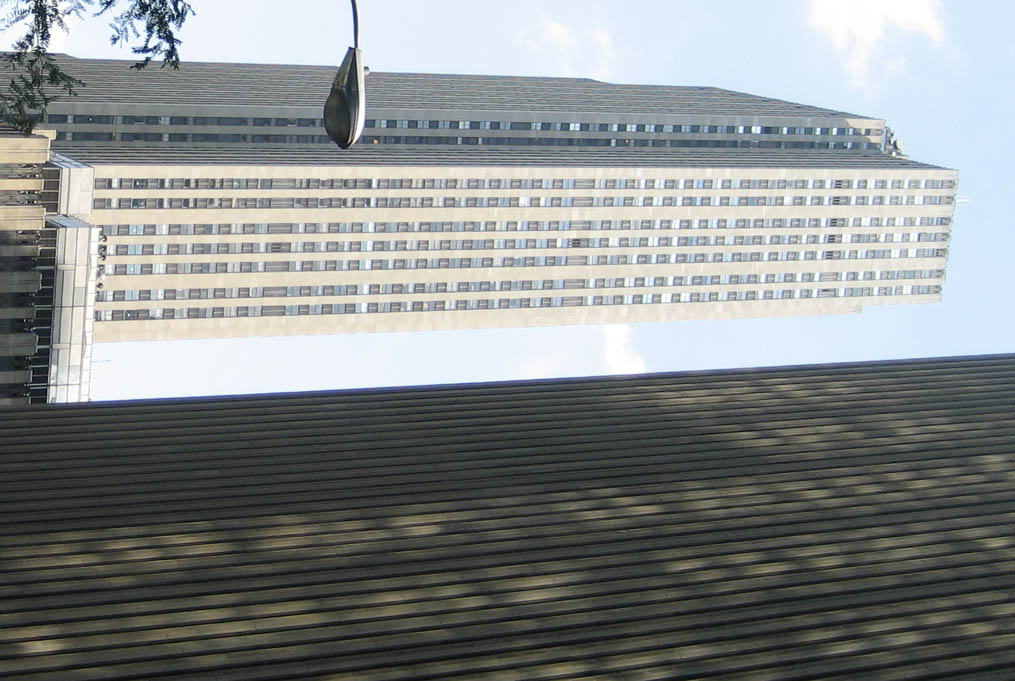 N.Y Yes N.Y.   F 17
---------
 (  ,      )