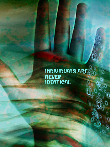 Individuals are never indentical...3
---------
 (  ,      )