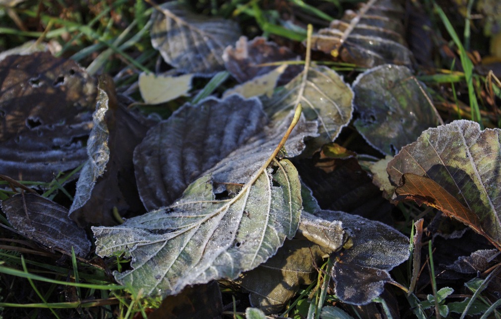 
---------
 (  ,      )