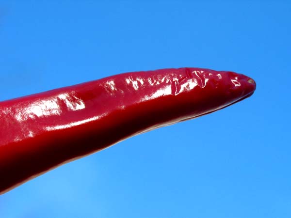 Red hot chilly pepper
---------
 (  ,      )