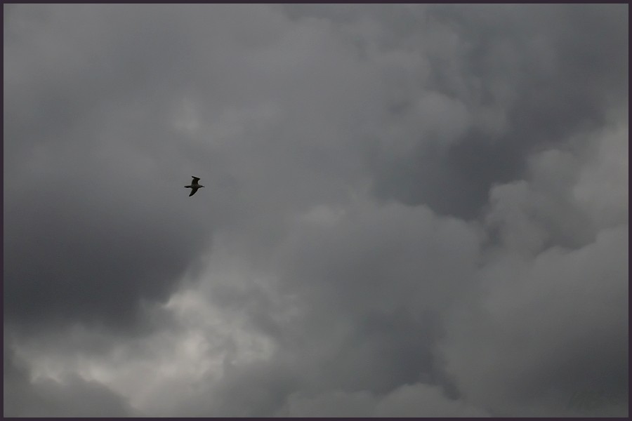 ����� ������ � ����� ����� ����
---------
 (�������� �� �����������, ����� ������� ��� � ������ �����)