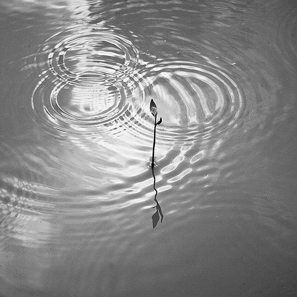 [ ]
---------
 (  ,      )