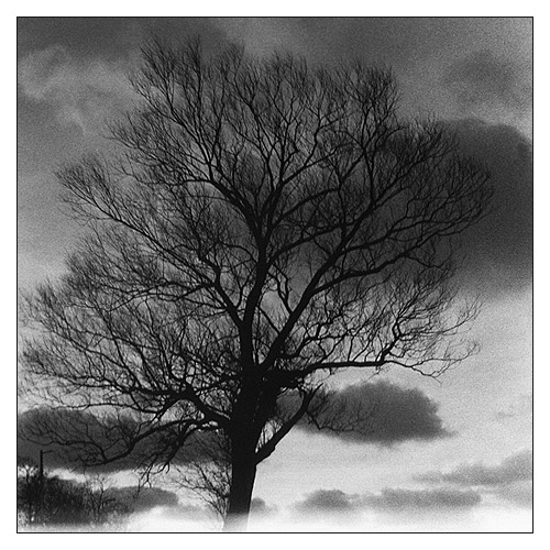 [������]
---------
 (�������� �� �����������, ����� ������� ��� � ������ �����)