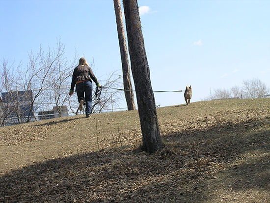 1 
---------
 (  ,      )