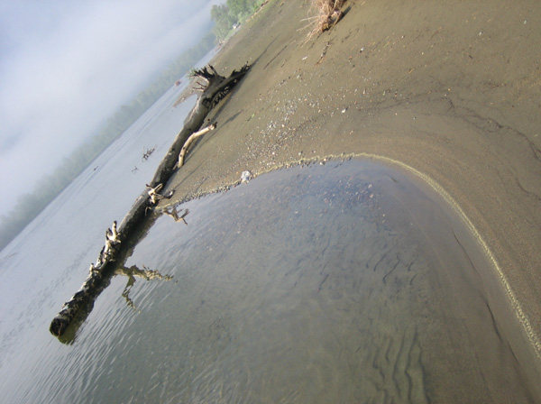 Z
---------
 (  ,      )