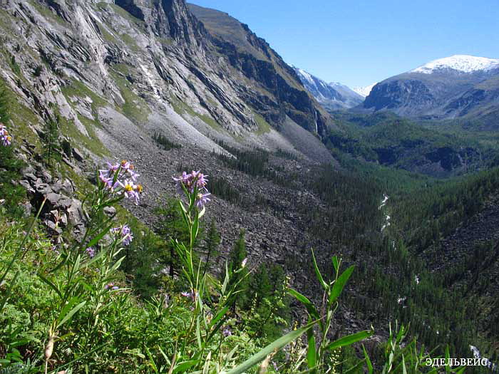   2
---------
 (  ,      )