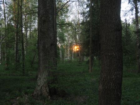 - 
---------
 (  ,      )