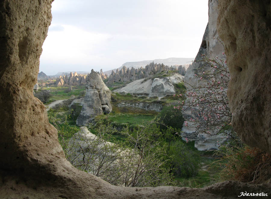    
---------
 (  ,      )