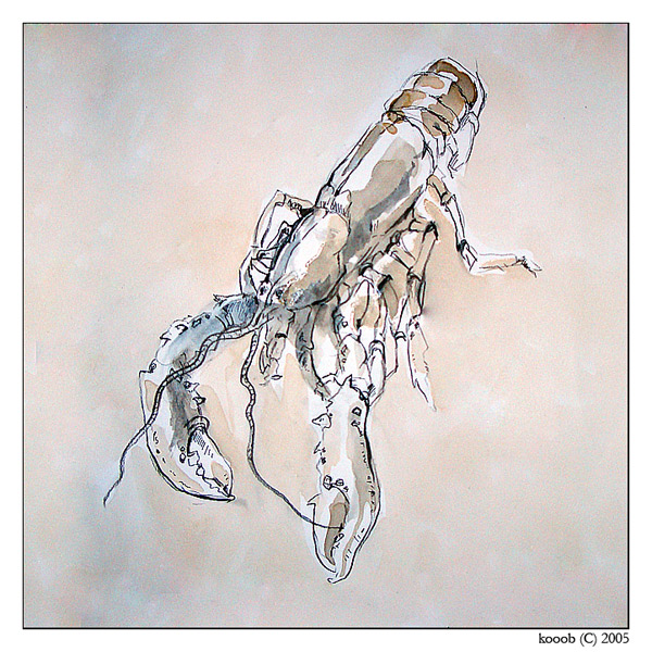 ?  !
---------
 (  ,      )