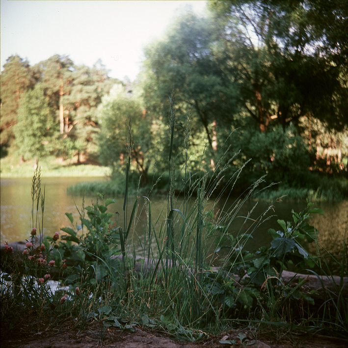 ***
---------
 (  ,      )