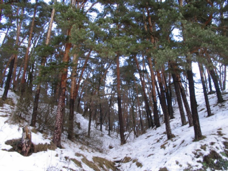 �������� ��������
---------
 (�������� �� �����������, ����� ������� ��� � ������ �����)