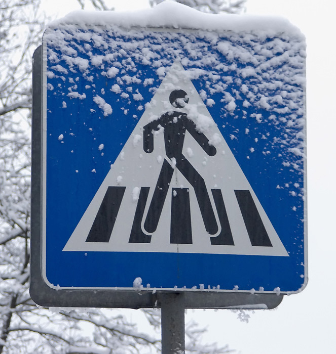  .
---------
 (  ,      )