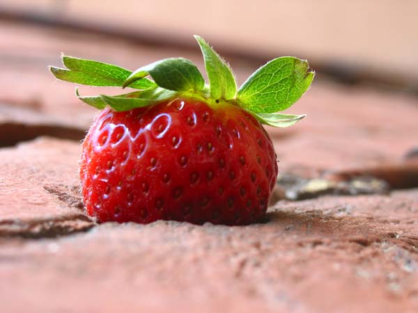  
---------
 (  ,      )