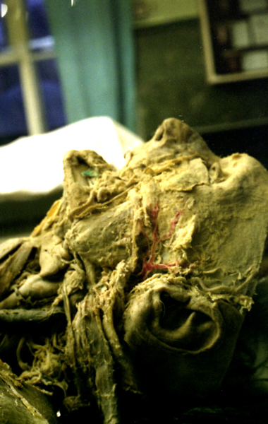  
---------
 (  ,      )