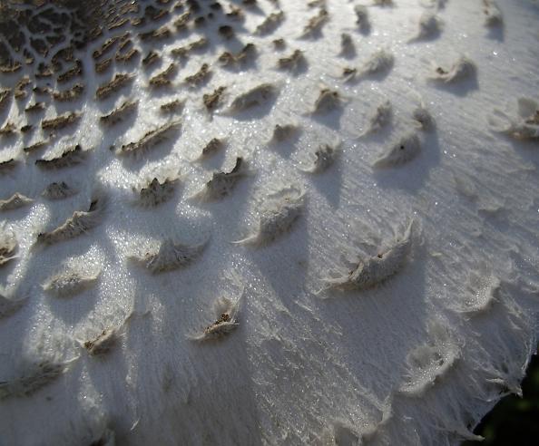  
---------
 (  ,      )