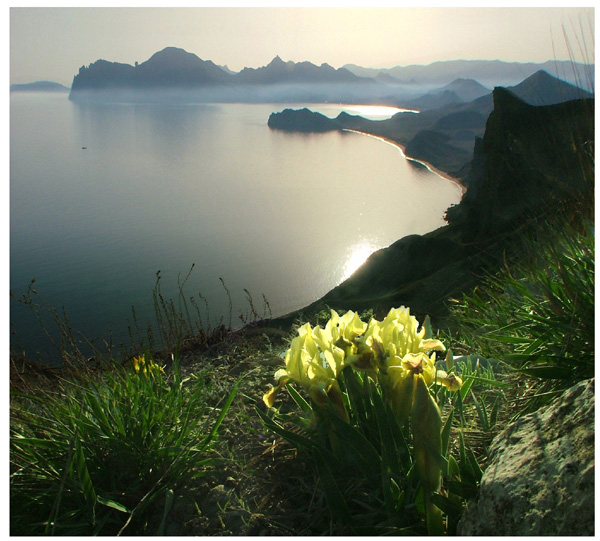   
---------
 (  ,      )