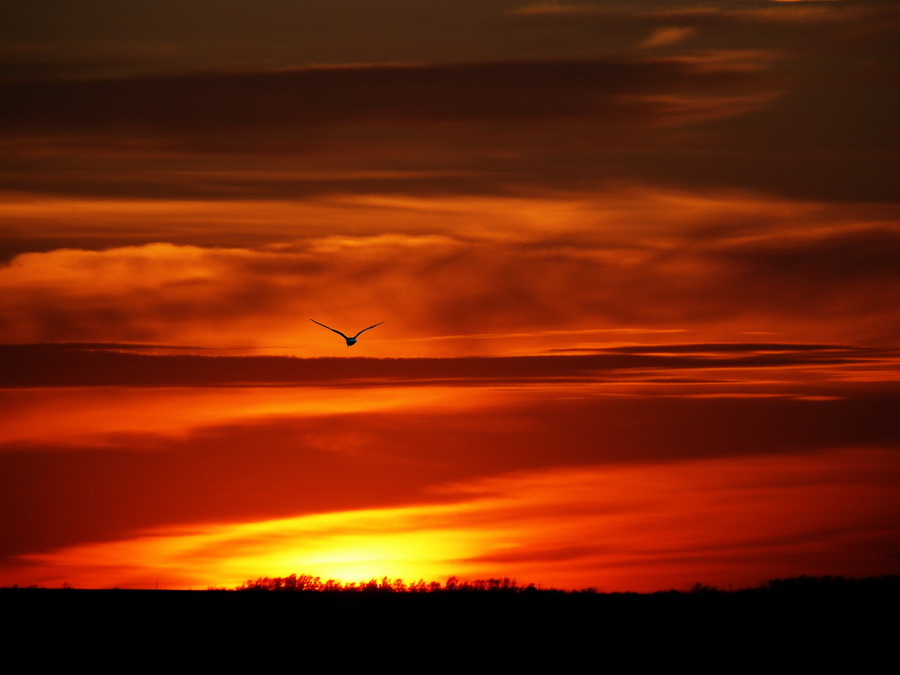  
---------
 (  ,      )