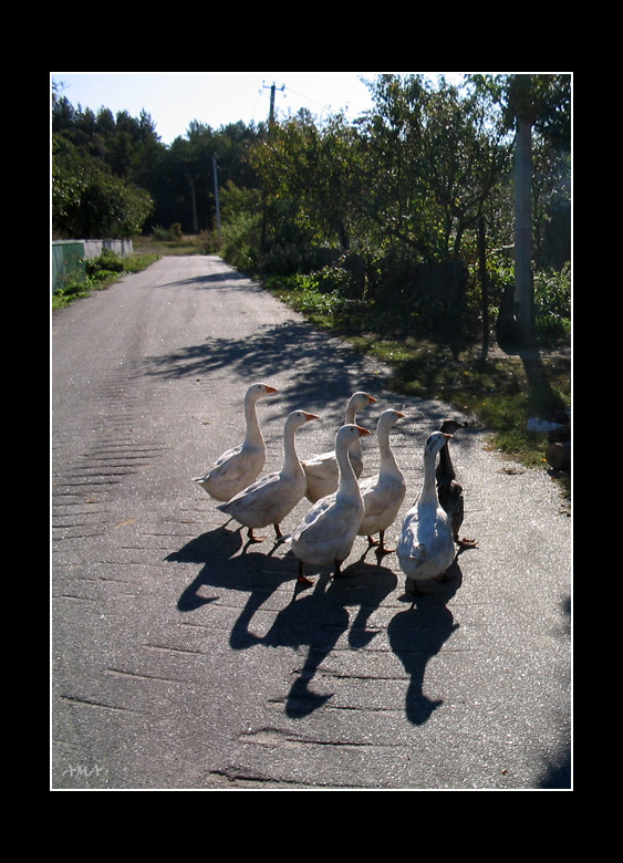 
---------
 (  ,      )