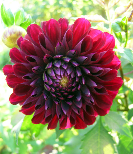 ������
---------
 (�������� �� �����������, ����� ������� ��� � ������ �����)