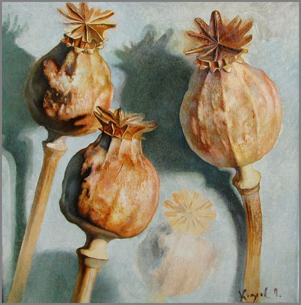 Poppy
---------
 (�������� �� �����������, ����� ������� ��� � ������ �����)