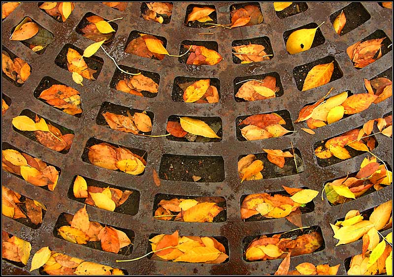 ���������� ����� �� �����
---------
 (�������� �� �����������, ����� ������� ��� � ������ �����)