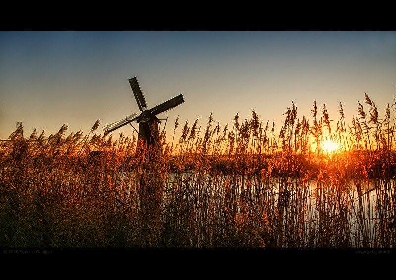 Kinderdijk. Sunny Evening.
---------
 (  ,      )