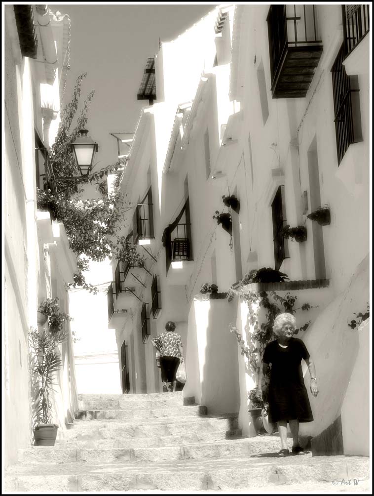 Somewhere in the South VIII
---------
 (  ,      )